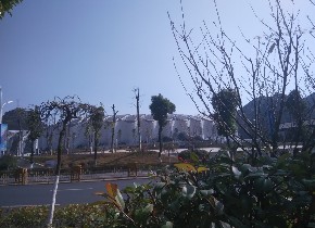 工程效果